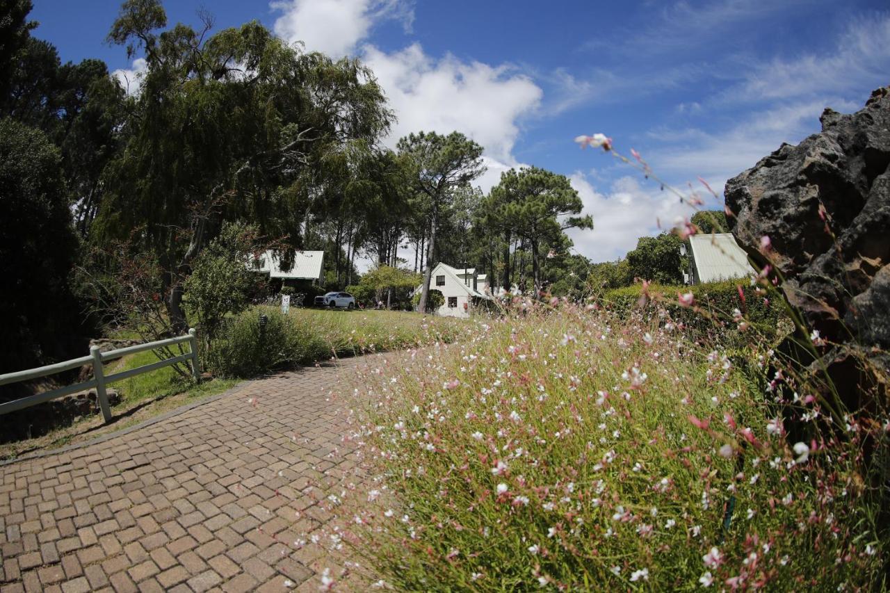 Strelitzia Cottage Cape Town Exterior foto