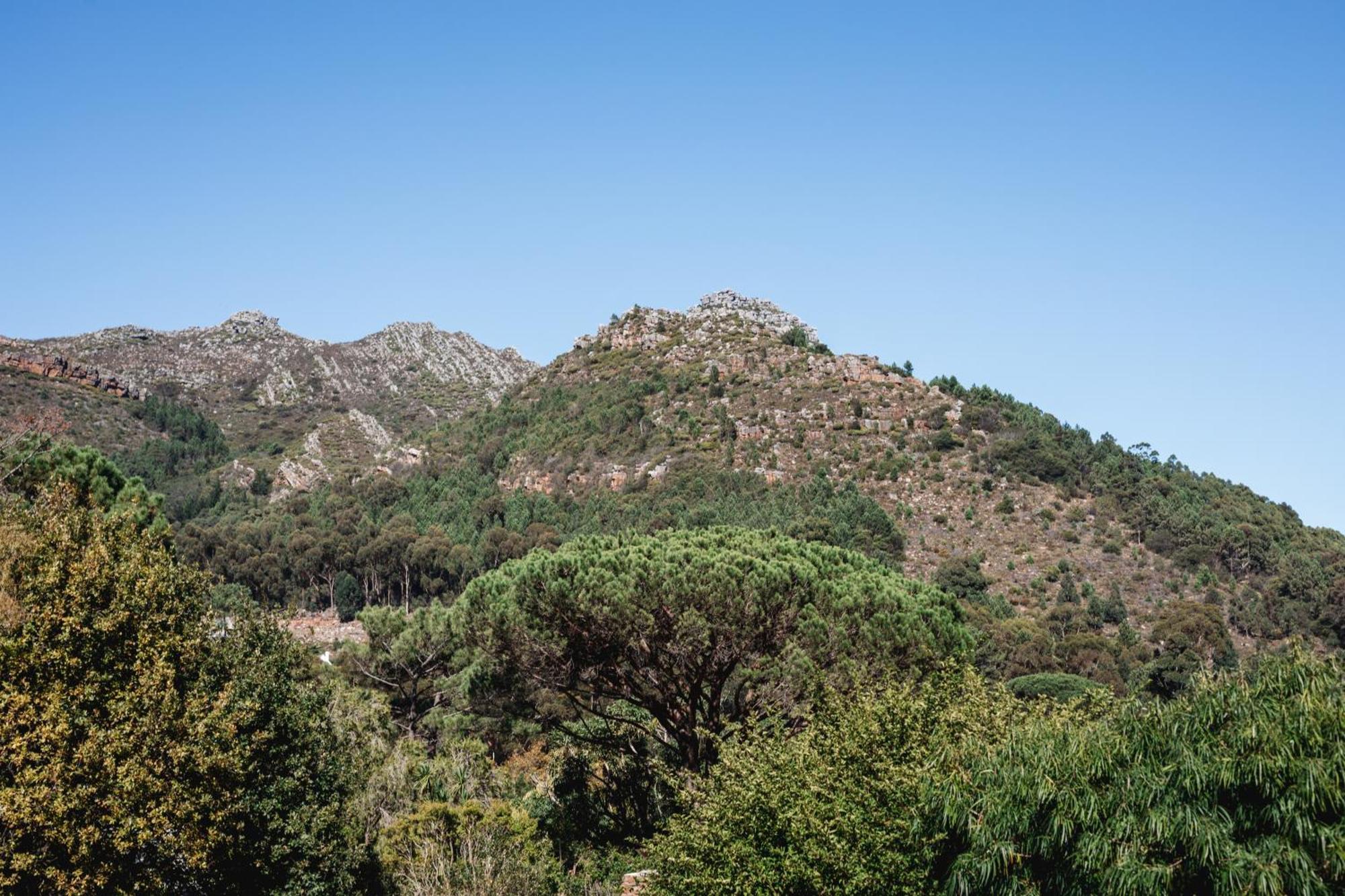 Strelitzia Cottage Cape Town Exterior foto