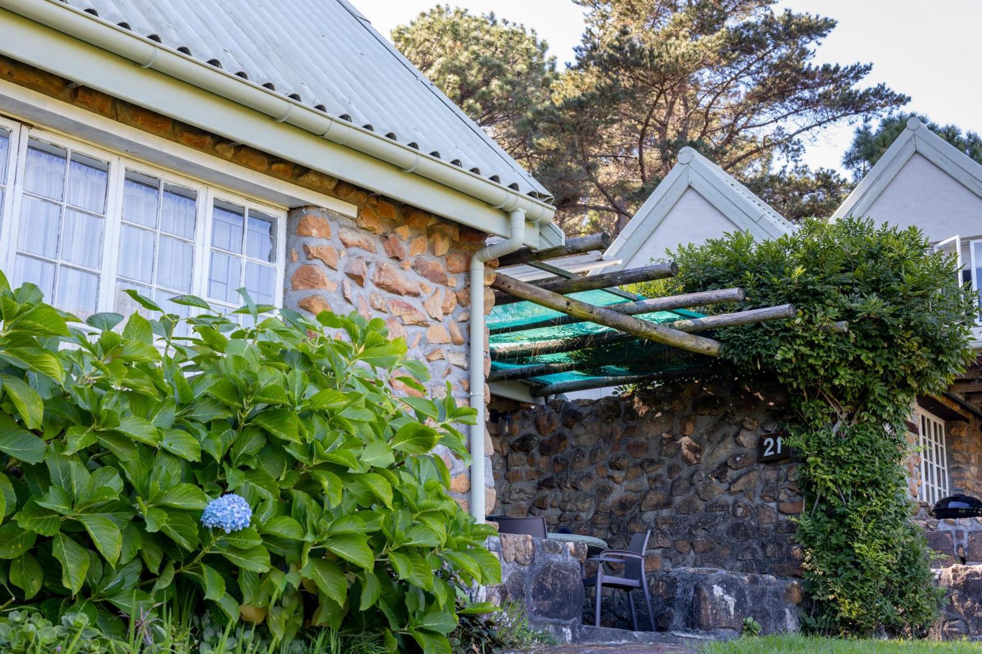 Strelitzia Cottage Cape Town Exterior foto