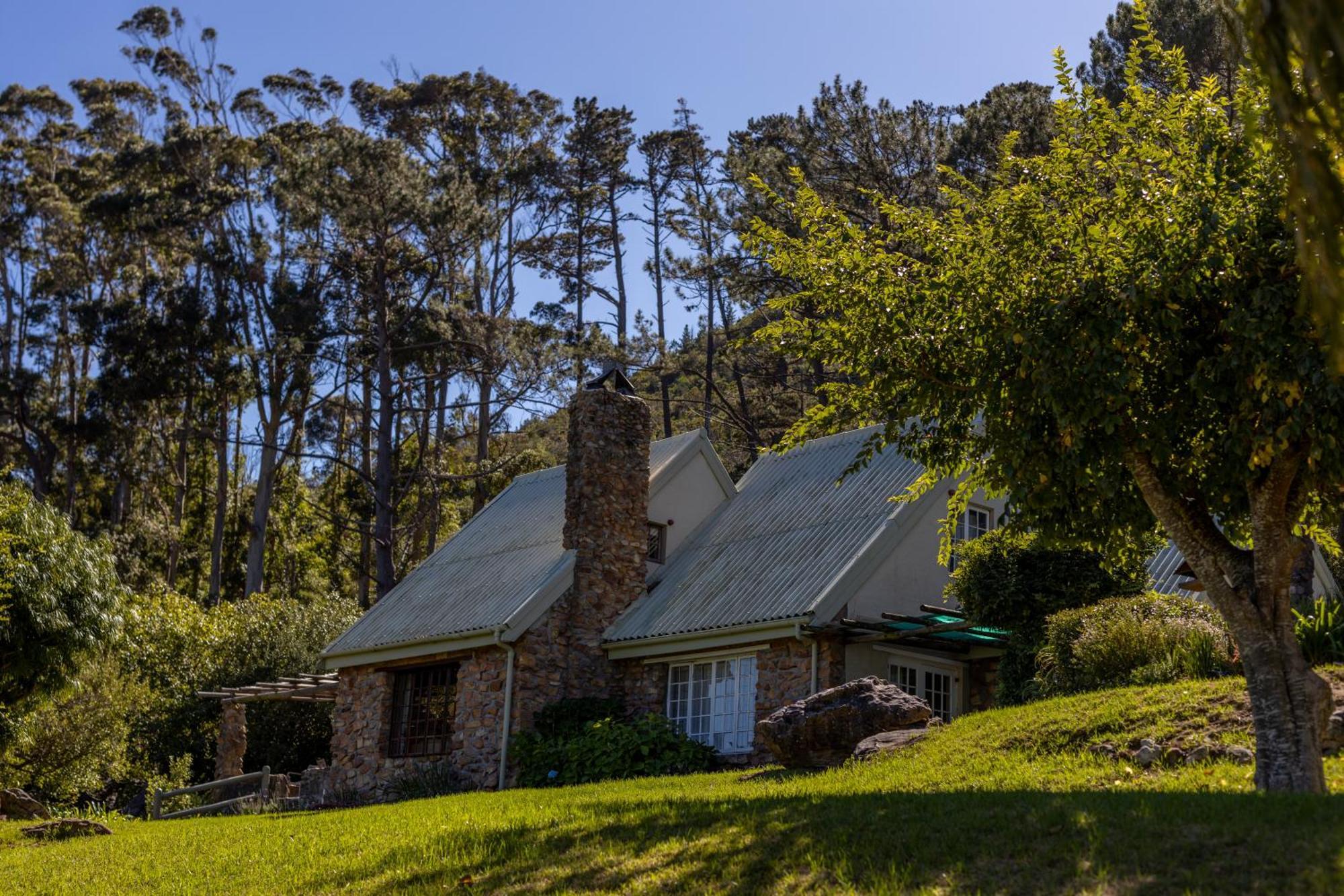 Strelitzia Cottage Cape Town Exterior foto